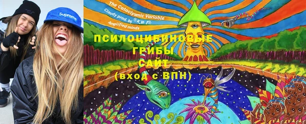 гидра Алзамай