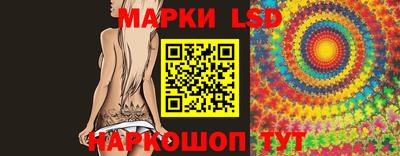 spice Камышлов