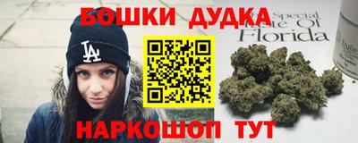 spice Камышлов