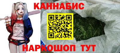 spice Камышлов